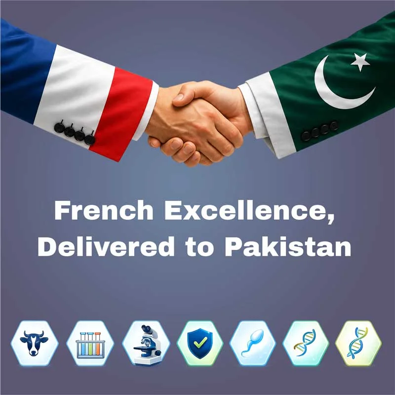 French Excellence, Delivered to Pakistan - Kurdson Industries